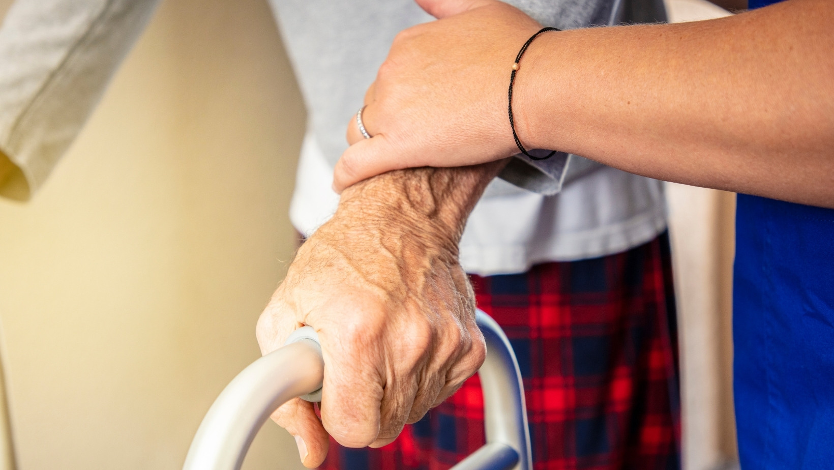 Foto principale Assistenza Domiciliare Anziani